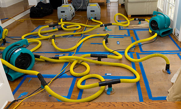 Professional Emergency Water Removal technician working in Bullock, NC